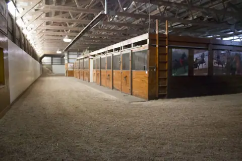 Triumph Stables and Triumph RV Rental in Roanoke, IN