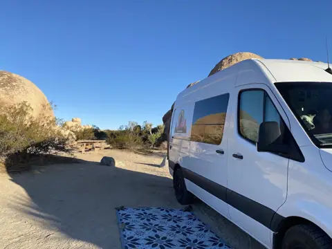 Lost Saguaro in Tempe, AZ