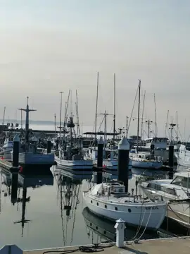 Sunset Harbor RV Park photo 2