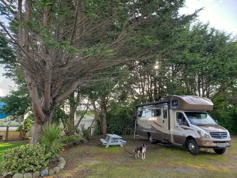 Sunset Harbor RV Park photo 3