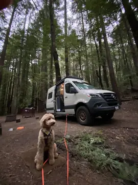 STAN Adventure Vans photo 3
