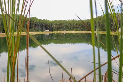 Deep Waters RV Park photo 2