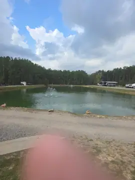 Deep Waters RV Park photo 3