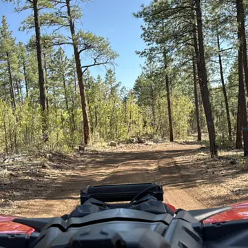 Apache Canyon Rentals photo 3