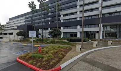 Voyager Campervans Los Angeles, RV rental in Manhattan Beach