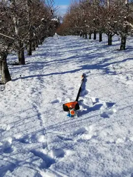 Chelan RV Rentals photo 3