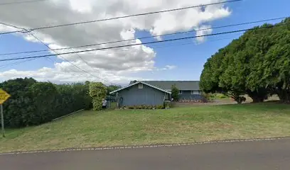Lemon Drop Campers - Maui Campervan Rentals in Makawao, HI